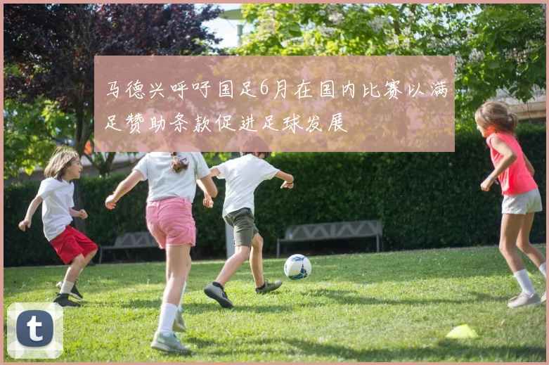 马德兴呼吁国足6月在国内比赛以满足赞助条款促进足球发展